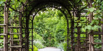 Giardino Botanico Medievale di Palazzo Madama